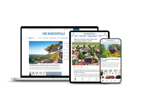 DIE RHEINPFALZ Digital Standard Abo